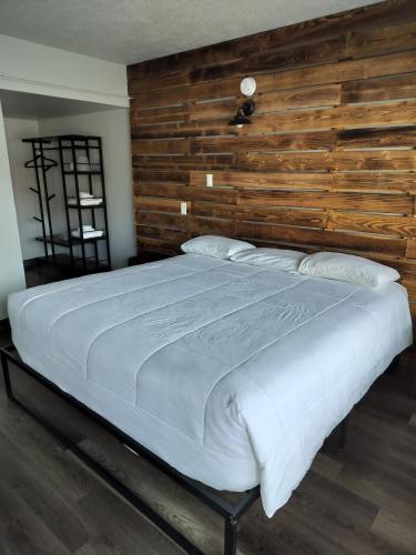 Three-Bedroom Suite at Bel Aire Motel Missoula, photo 2